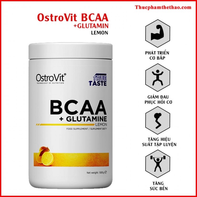 OSTROVIT BCAA GLUTAMINE (500g)