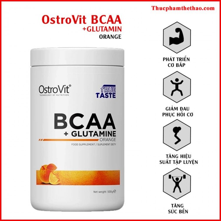 OSTROVIT BCAA GLUTAMINE (500g)